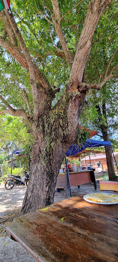 Nasi Kandaq Pokok Mambu Kg Tua Nasi Kandaq Pokok Mambu Kg Tua