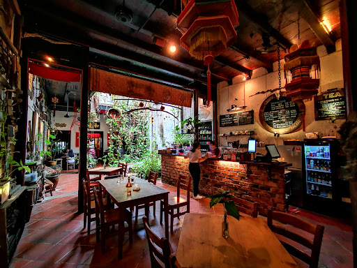 The Baboon House