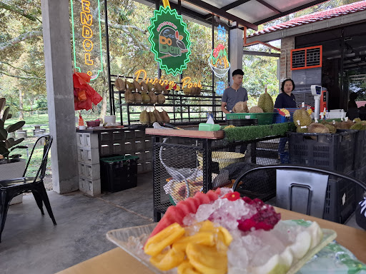 Eco Do Bem Cafe & Durian Park Eco Do Bem Cafe & Durian Park