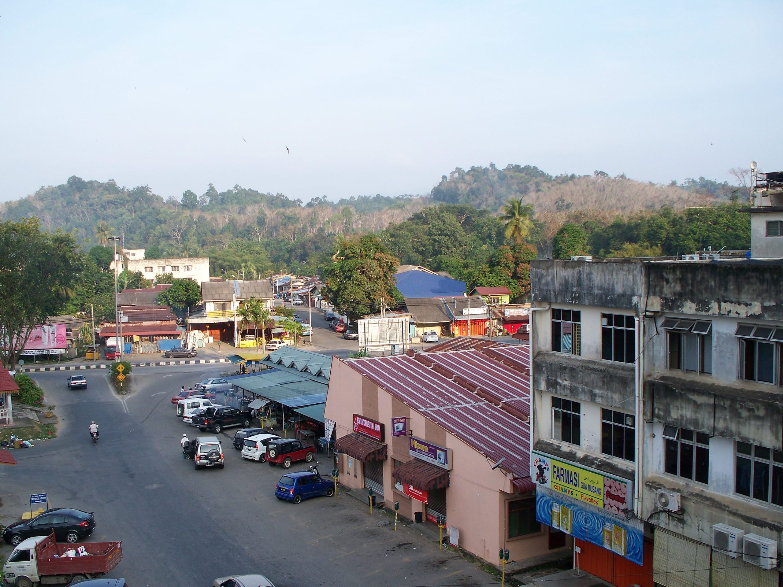 Gua musang 1 gua musang scaled