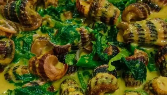 Kuwaah - Masak Lemak Cili Api, Daging Salai, Siput Sedut, Patin Tempoyak & Ayam Kampung @ Tampin 1 kuwaah masak lemak cili api daging salai siput sedut patin tempoyak ayam kampung tampin