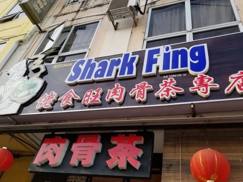 restaurant shark fing